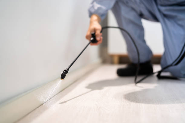 Bed Bug Pre-Treatment Preparation Assessment in Banks Springs