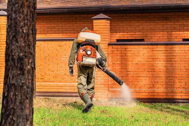 Bed Bug Clearance Verification and Documentation in Banks Springs